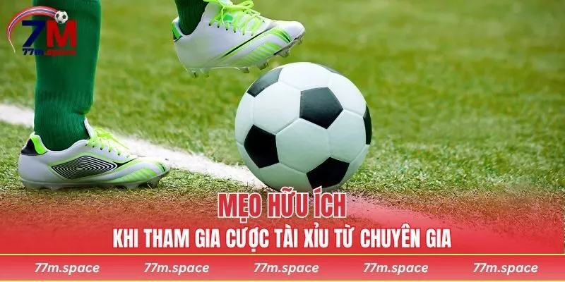 Mẹo hữu ích khi tham gia cược tài xỉu từ chuyên gia